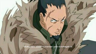 Fakta Shikaku Nara