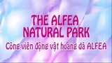 [BiBi] Winx Công chúa phép thuật - Phần 7 Tập 1 - Công viên động vật hoang dã Alfea