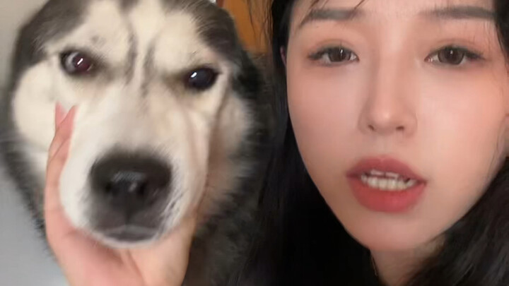 哈尔滨有母哈嘛