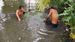 Chú Út Bắt Cá Tra Khủng Của Bác 2 Nhúng Lẩu Mắm Tiếp Đãi Bà Con Phụ Cắt Nhà Bác 2