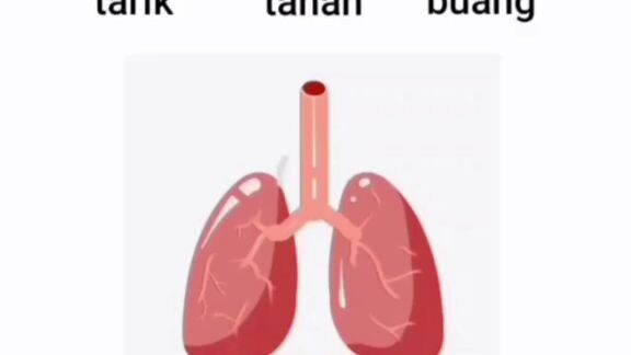 uji kesehatan paru paru ngab🗿