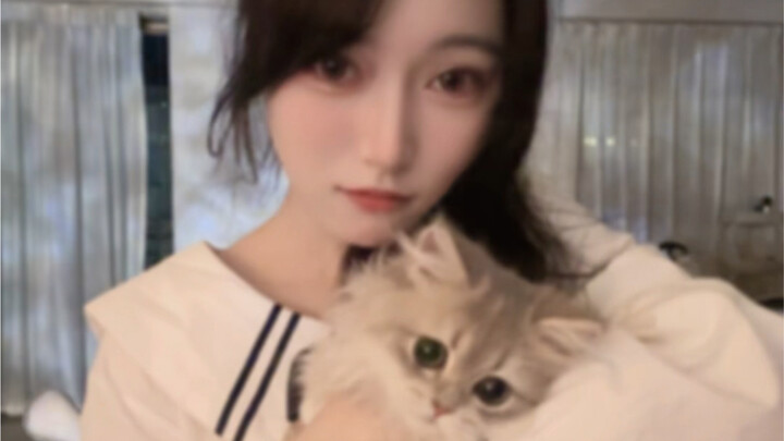 Di Balik Layar Hidup Tidak Mudah Kucing Tampil