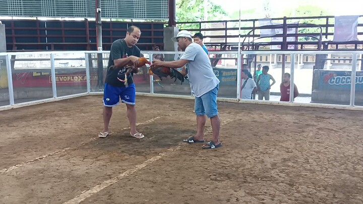 1x winner na naka tsamba si tagalogin😂