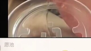 Kiểm tra: Mọi khung hình đều ổn.