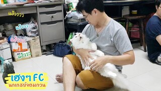 EP.234 เมื่อใครๆ ก็สนใจแต่มิ่น ไม่สนใจพี่เฮงเลย