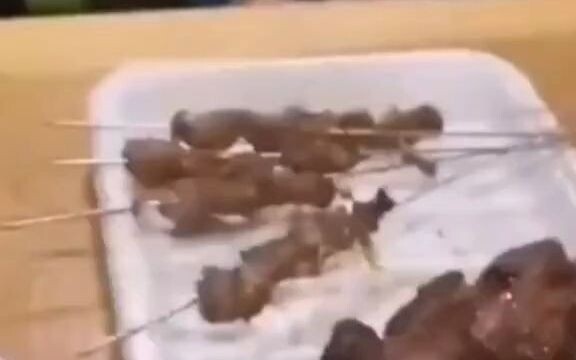 أنا وعنادي الأخير