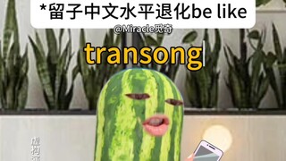 Ký sự suy thoái tiếng Trung của Liuzi 3