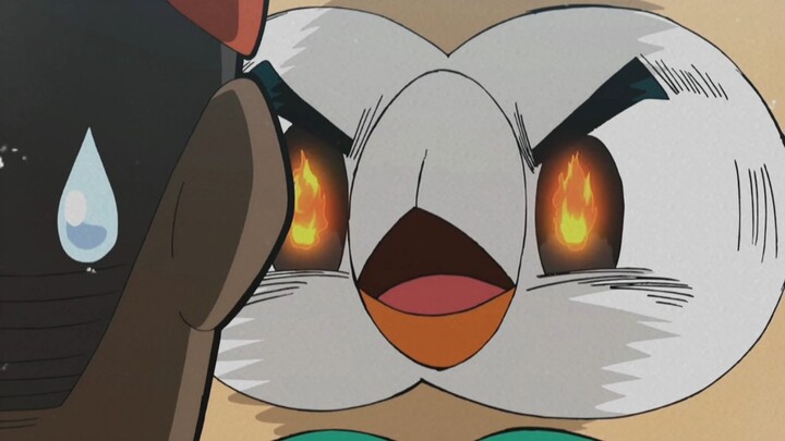 [Pokémon] Owl: Stop saying I only know how to sleep