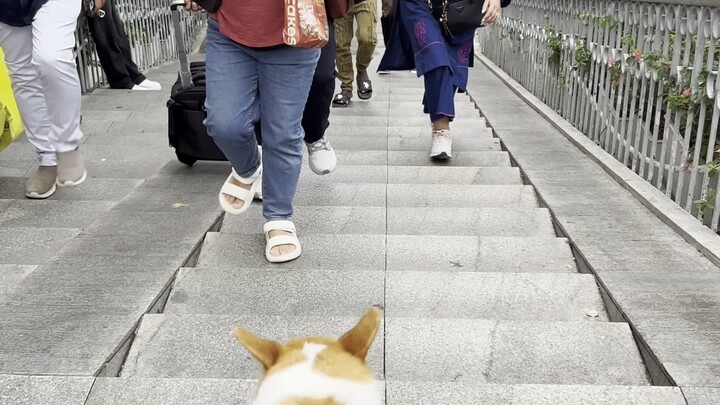 Pekan Canton, menjalin hubungan dengan para pelaku usaha dari seluruh dunia! Si Anjing berharap kepa