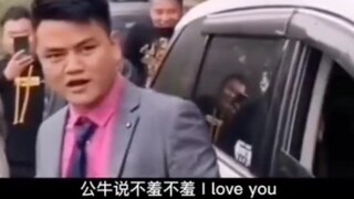 Human Stupid and Funny Daily Life 24