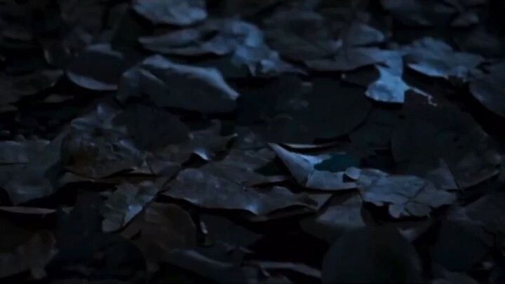 Girl from nowhere S2:E8 The Judgement