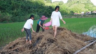 Đi Nhặt Món Ăn Từ Đống Rơm | Hoa Ban Tây Bắc