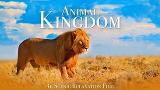 Animal Kingdom Life Power  Predators  Full Documentary(1080P HD)