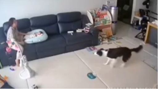 ฉันแค่อยากทำงานบ้าน