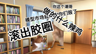 【猫meme】关于我上综艺做模型