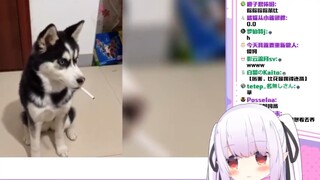 看狗狗迷惑行为狂笑不止的日本萝莉