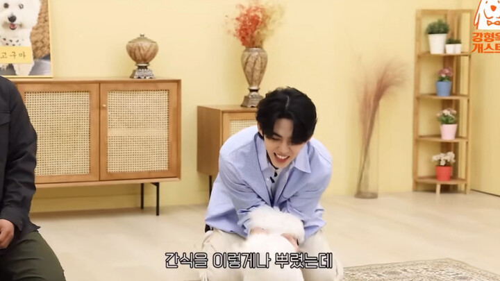 [Choi Seungcheol] What is true affection? It’s when, even tempted by treats from the nearby dog trai