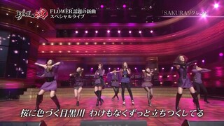 SAKURA Regret by FLOWER — Live Performance on EXILE Tamashii [26th February 2012]