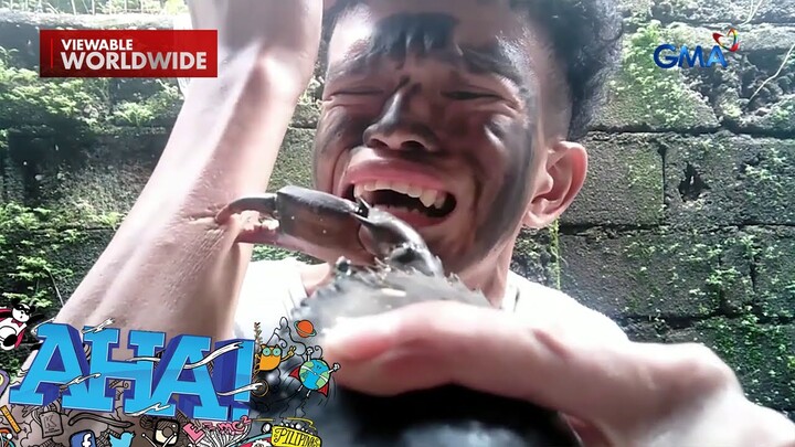 Content creator, nagpapasipit daw sa mga alimango?! | AHA!