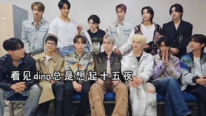 【SEVENTEEN】Aftereffects of the Full Moon, hahaha (Chan: Twelve pros about his twelve brothers, twelv