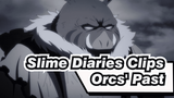 Slime Diaries - The Orcs’ Past
