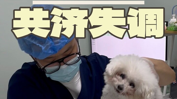 Jatuh dari ketinggian, kepala dan tulang belakang terluka, lihat bagaimana saya menyelamatkannya