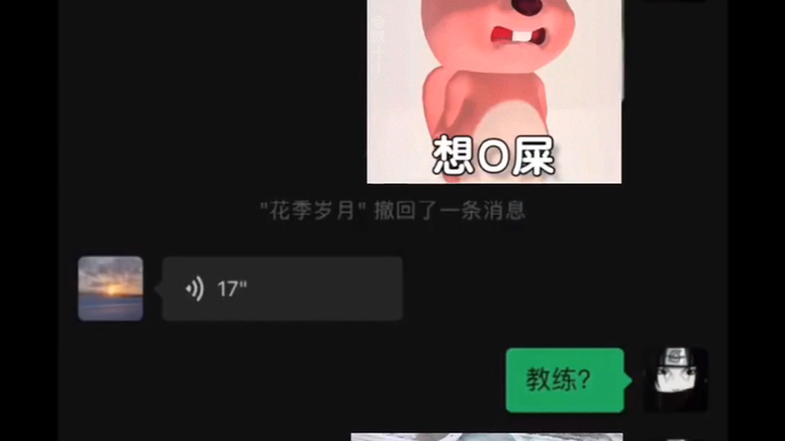 Không cần đi nữa...