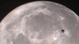 震惊！月球表面发现不明生物！