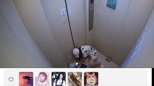 The dog’s gone, and so is my hand.