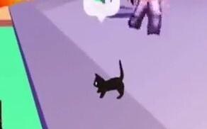 "It's a dog"