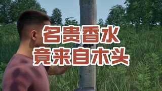 名贵香水竟来自木头