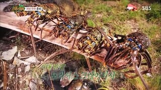 Law of the Jungle in Indian Ocean [9 END] SUB INDO