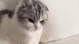 [MaNameBin] Đừng chạm vào đuôi trước của BIN nữa!!!