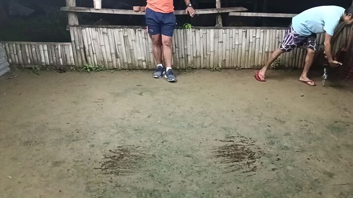 applelemon mclean and applelemon blues