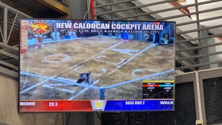 March 30 2023 Hackfight 5k per win 1st fight (Win) New Caloocan Cockpit Arena