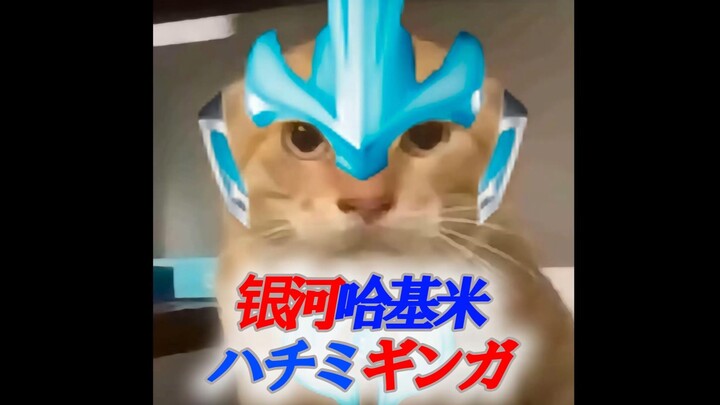 🐱银河哈基米🐱《⚡ハチミギンガ⚡》ハチミギンガの歌