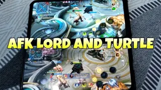 AFK LORD AND TURTLE