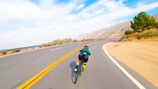 “有一天你会明白，孤独是人生常态”