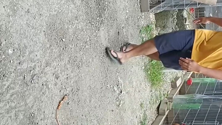 Jap Asil Father and Son exercise