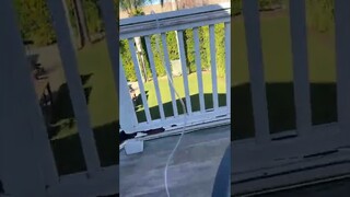 The Longest Straw Ever Made…