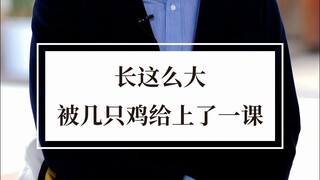 Không ngờ có một ngày chúng tôi lại bị năm con gà "dạy cho một bài học".