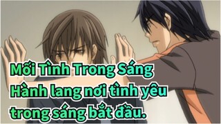 Mối Tình Trong Sáng|【TV.Hiroki&Nowaki】Hành lang nơi tình yêu trong sáng bắt đầu.