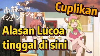 [Miss Kobayashi's Dragon Maid] Cuplikan | Alasan Lucoa tinggal di sini