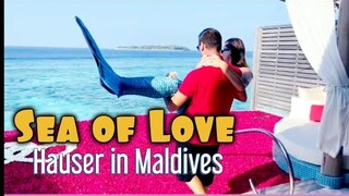 HAUSER'S " Sea of LOVE "