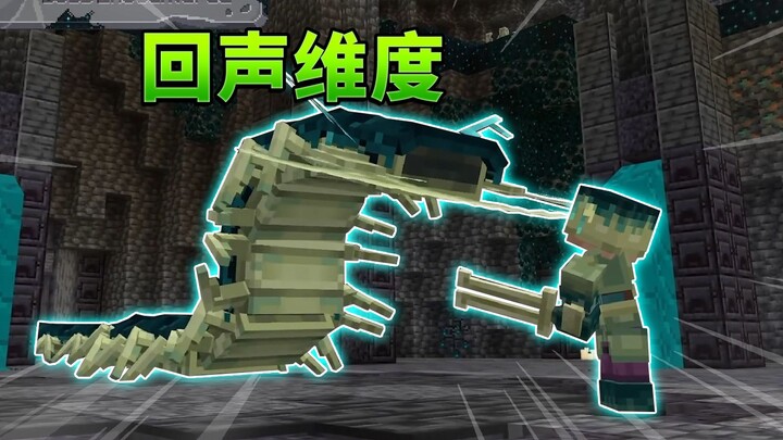 当我们可以打开回声维度之门？！