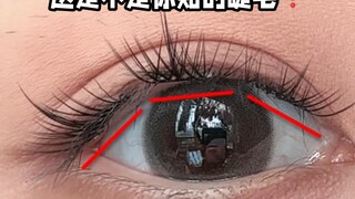 Super detailed eyelash application tutorial‼️ If you still can't do it, just send your hands over!