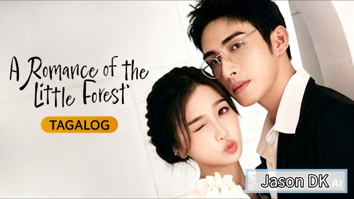 A Romance Of The Little Forest Episode 17 Tagalog Dub [1080P HD]