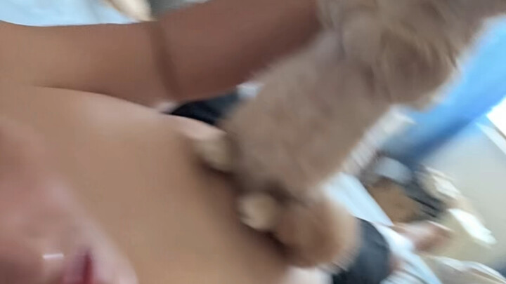 I really hate cats