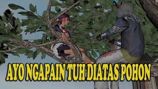 NGAPAIN TUH DIATAS POHON | ANIMASI FREE FIRE | GARENA FREE FIRE ANIMATION