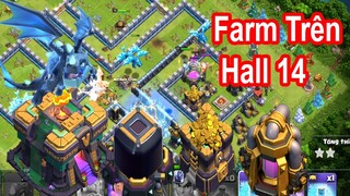 Đi Farm Trên Hall 14 Có Gì Đặc Biệt | NMT Gaming